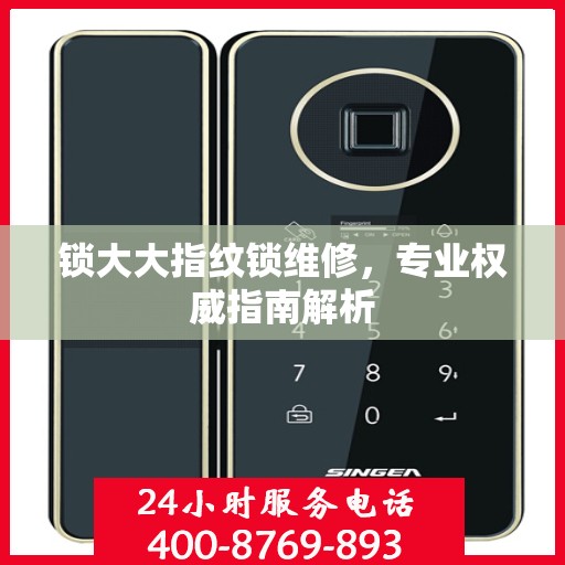 锁大大指纹锁维修，专业权威指南解析