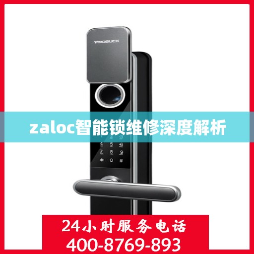 zaloc智能锁维修深度解析