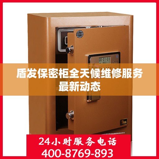 盾发保密柜全天候维修服务最新动态