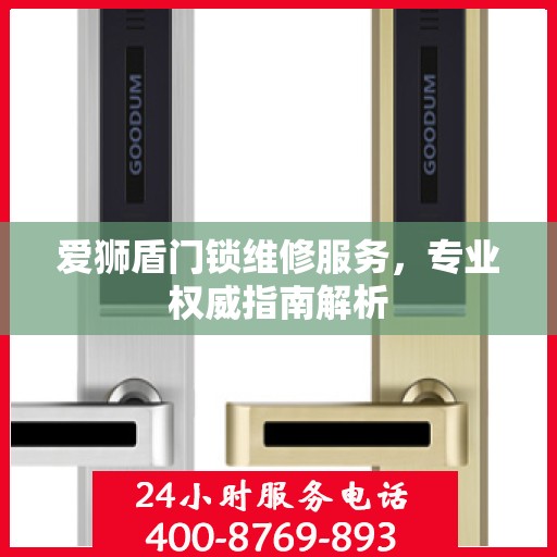 爱狮盾门锁维修服务，专业权威指南解析