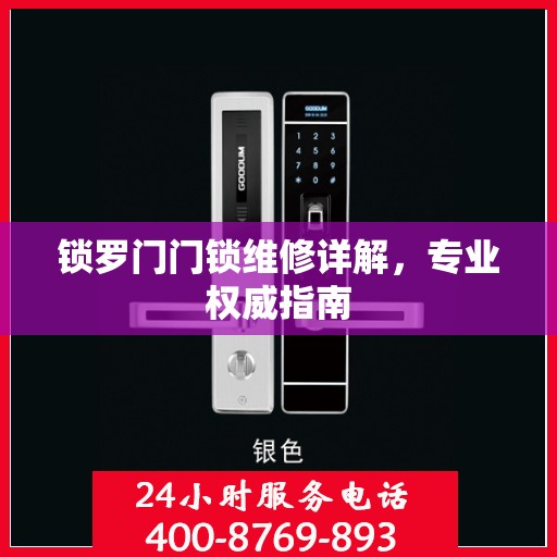 锁罗门门锁维修详解，专业权威指南