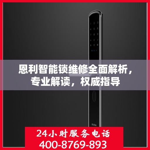 恩利智能锁维修全面解析，专业解读，权威指导