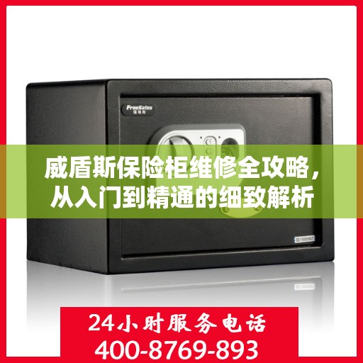 威盾斯保险柜维修全攻略，从入门到精通的细致解析