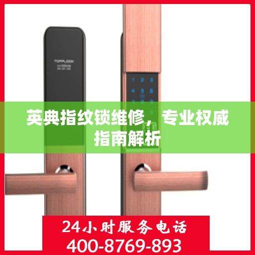 英典指纹锁维修，专业权威指南解析