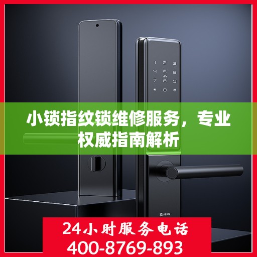 小锁指纹锁维修服务，专业权威指南解析