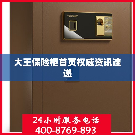 大王保险柜首页权威资讯速递