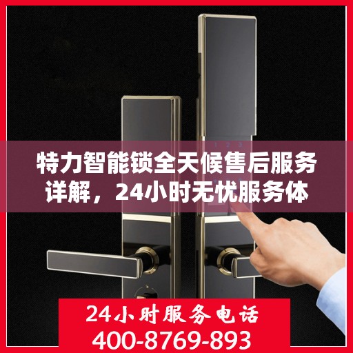 特力智能锁全天候售后服务详解，24小时无忧服务体验