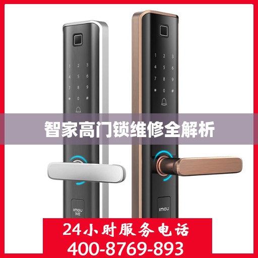 智家高门锁维修全解析