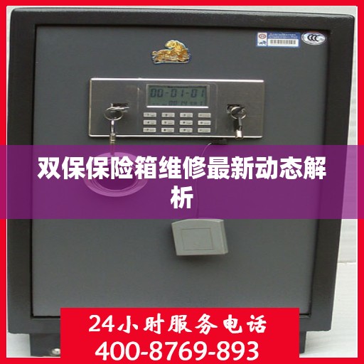 双保保险箱维修最新动态解析