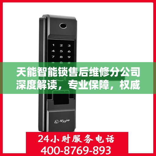 天能智能锁售后维修分公司深度解读，专业保障，权威声音
