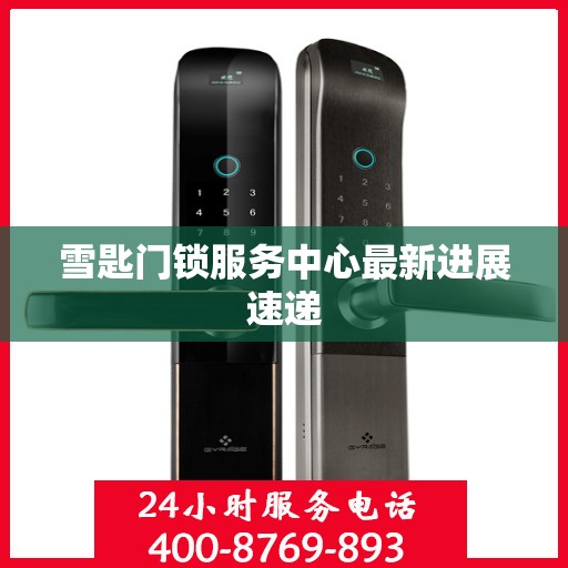 雪匙门锁服务中心最新进展速递