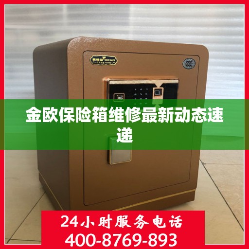 金欧保险箱维修最新动态速递