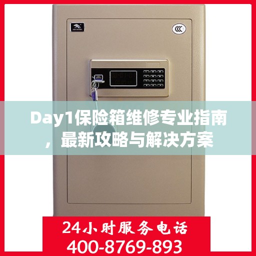 Day1保险箱维修专业指南，最新攻略与解决方案