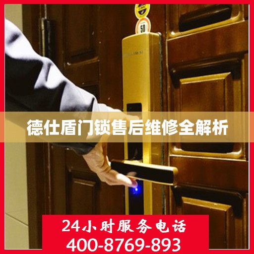 德仕盾门锁售后维修全解析