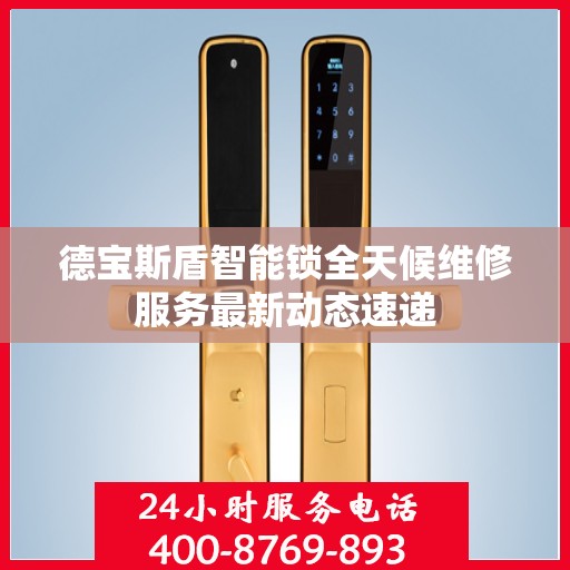 德宝斯盾智能锁全天候维修服务最新动态速递