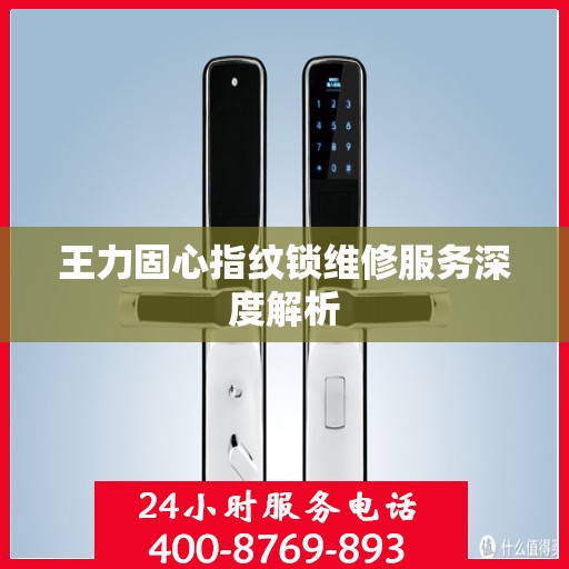 王力固心指纹锁维修服务深度解析