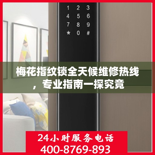 梅花指纹锁全天候维修热线，专业指南一探究竟