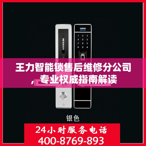 王力智能锁售后维修分公司，专业权威指南解读