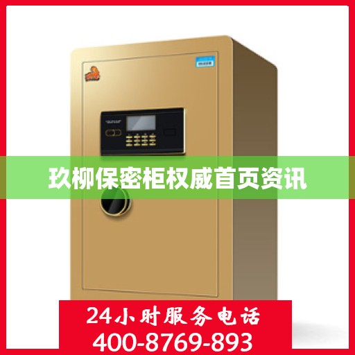 玖柳保密柜权威首页资讯