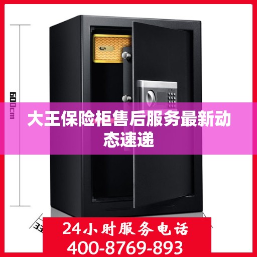 大王保险柜售后服务最新动态速递