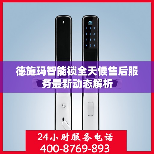 德施玛智能锁全天候售后服务最新动态解析