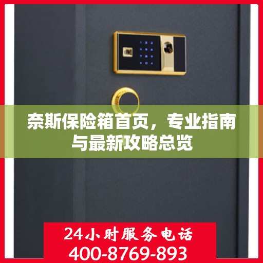 奈斯保险箱首页，专业指南与最新攻略总览