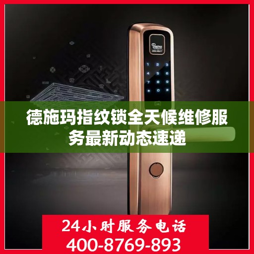 德施玛指纹锁全天候维修服务最新动态速递