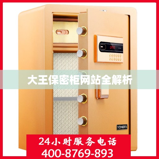 大王保密柜网站全解析