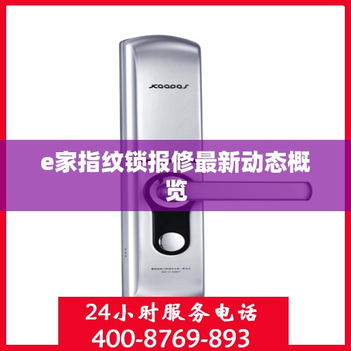 e家指纹锁报修最新动态概览