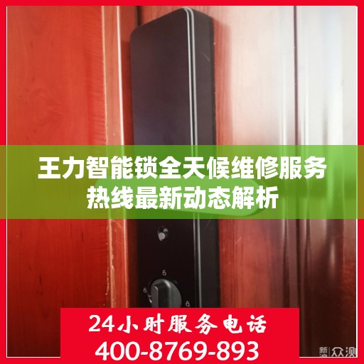 王力智能锁全天候维修服务热线最新动态解析