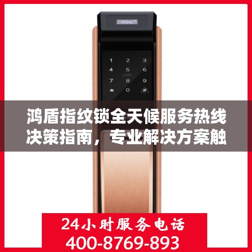 鸿盾指纹锁全天候服务热线决策指南，专业解决方案触手可及