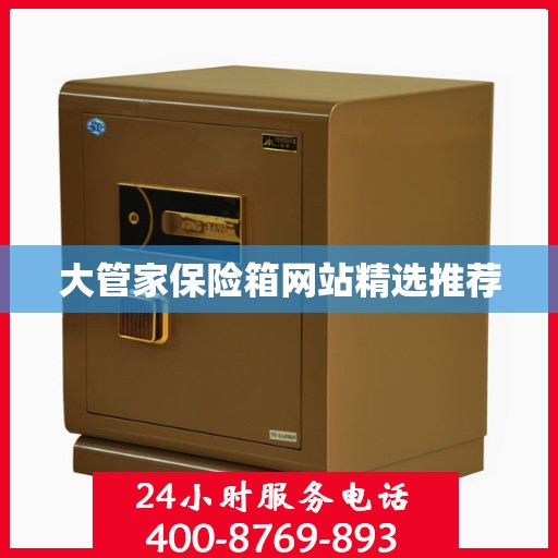 大管家保险箱网站精选推荐