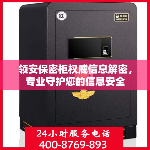 领安保密柜权威信息解密，专业守护您的信息安全