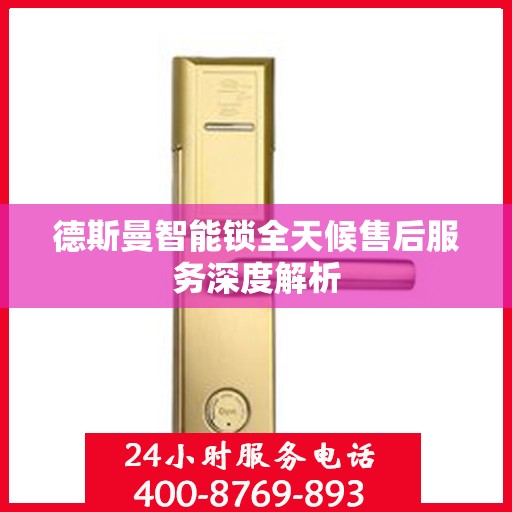 德斯曼智能锁全天候售后服务深度解析