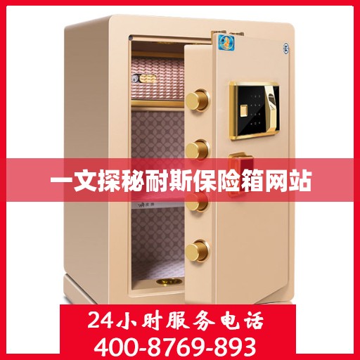 一文探秘耐斯保险箱网站