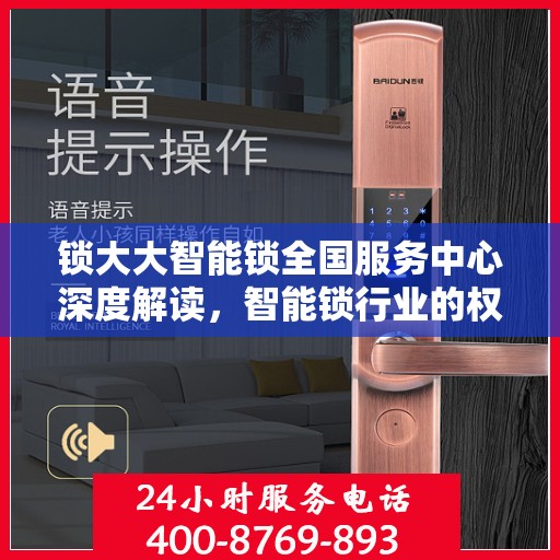 锁大大智能锁全国服务中心深度解读，智能锁行业的权威指南
