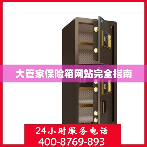 大管家保险箱网站完全指南