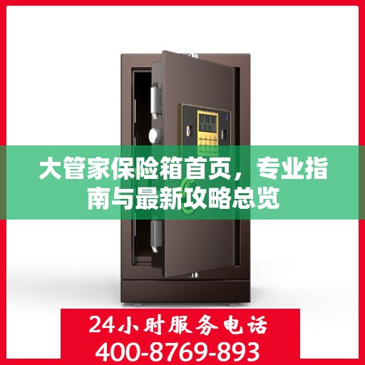 大管家保险箱首页，专业指南与最新攻略总览