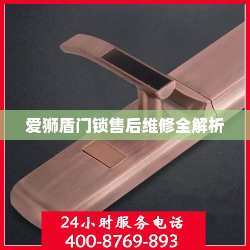 爱狮盾门锁售后维修全解析