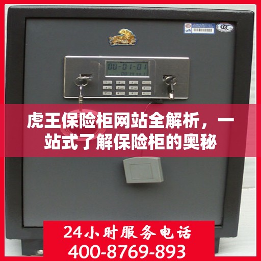 虎王保险柜网站全解析，一站式了解保险柜的奥秘