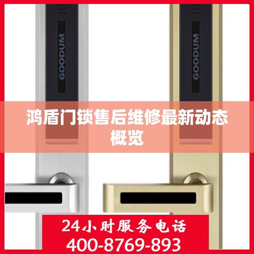 鸿盾门锁售后维修最新动态概览
