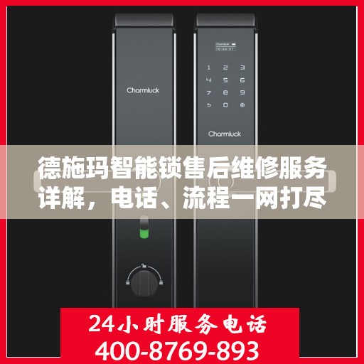 德施玛智能锁售后维修服务详解，电话、流程一网打尽