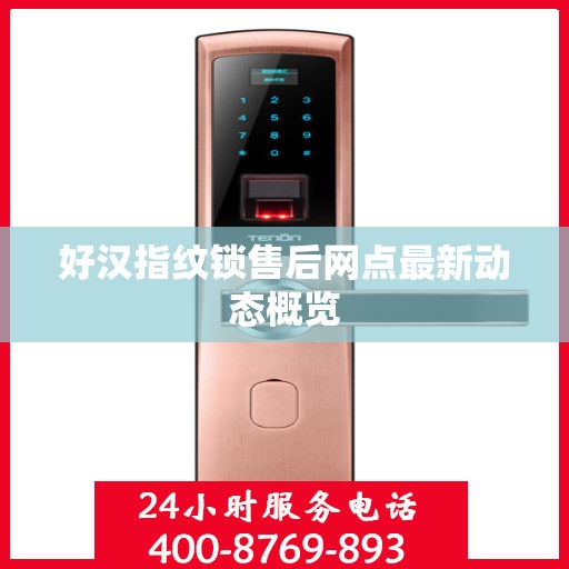 好汉指纹锁售后网点最新动态概览