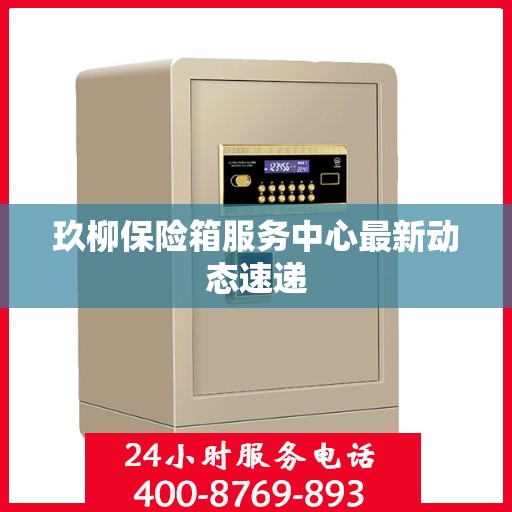 玖柳保险箱服务中心最新动态速递