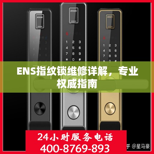 ENS指纹锁维修详解，专业权威指南