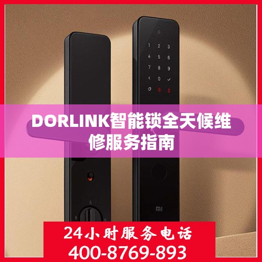DORLINK智能锁全天候维修服务指南
