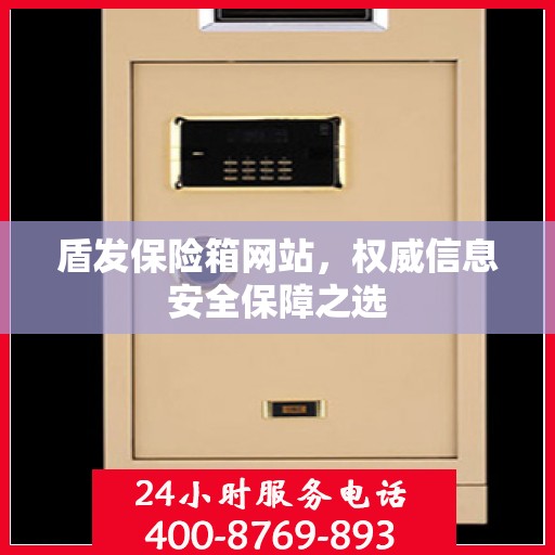 盾发保险箱网站，权威信息安全保障之选