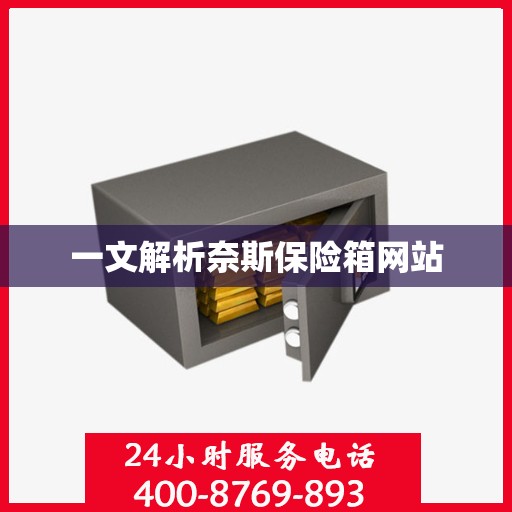 一文解析奈斯保险箱网站