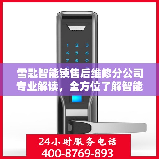 雪匙智能锁售后维修分公司专业解读，全方位了解智能锁维护与保障