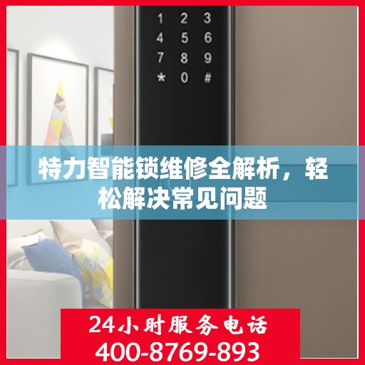 特力智能锁维修全解析，轻松解决常见问题